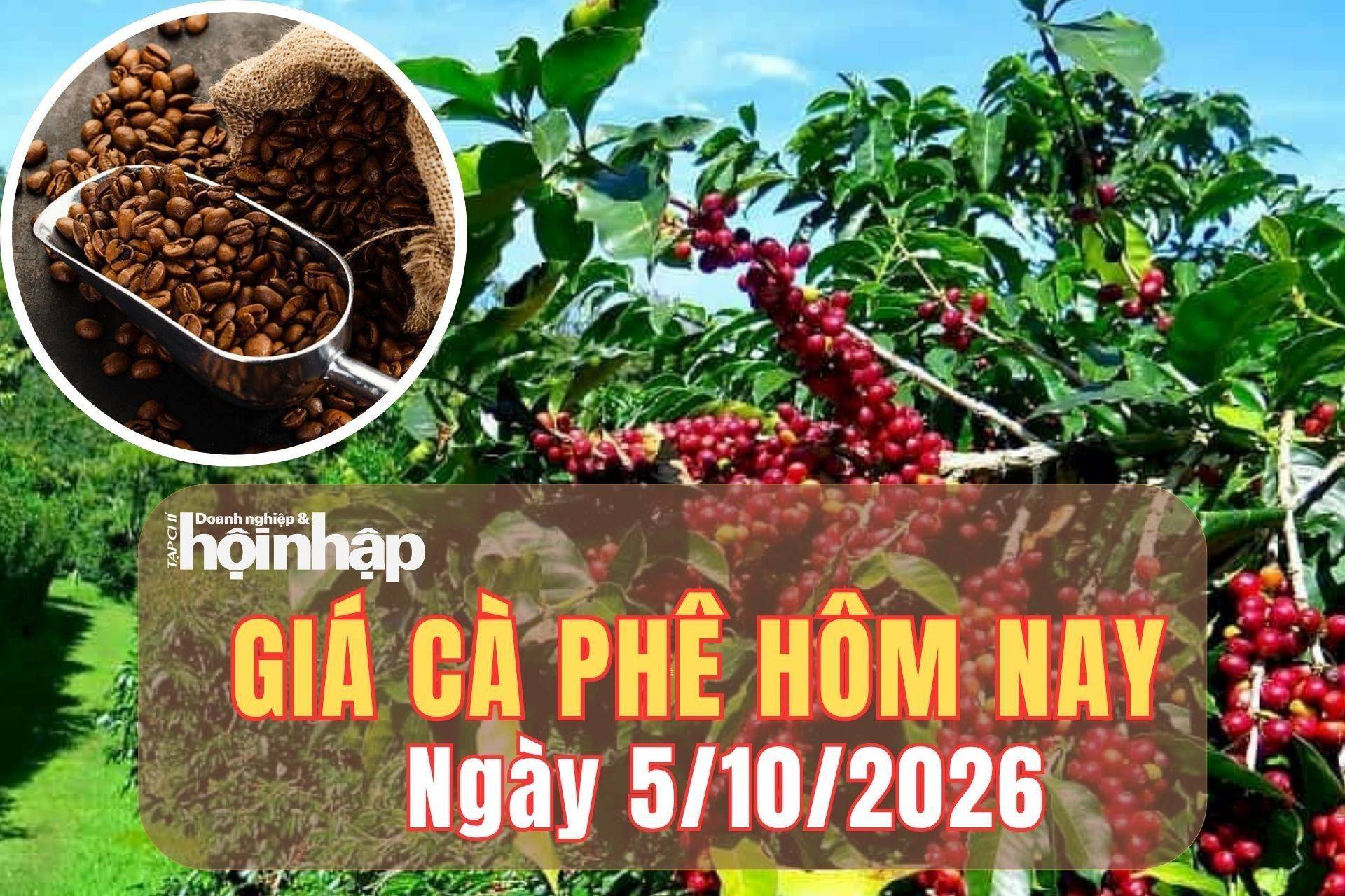 Giá cà phê hôm nay 5/10/2026: Tuần qua, giá cà phê trong nước và thế giới cùng bật tăng