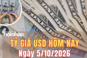 Tỷ giá USD hôm nay 5/10 /2026: Đồng USD neo cao, Fed và dữ liệu việc làm chi phối xu hướng
