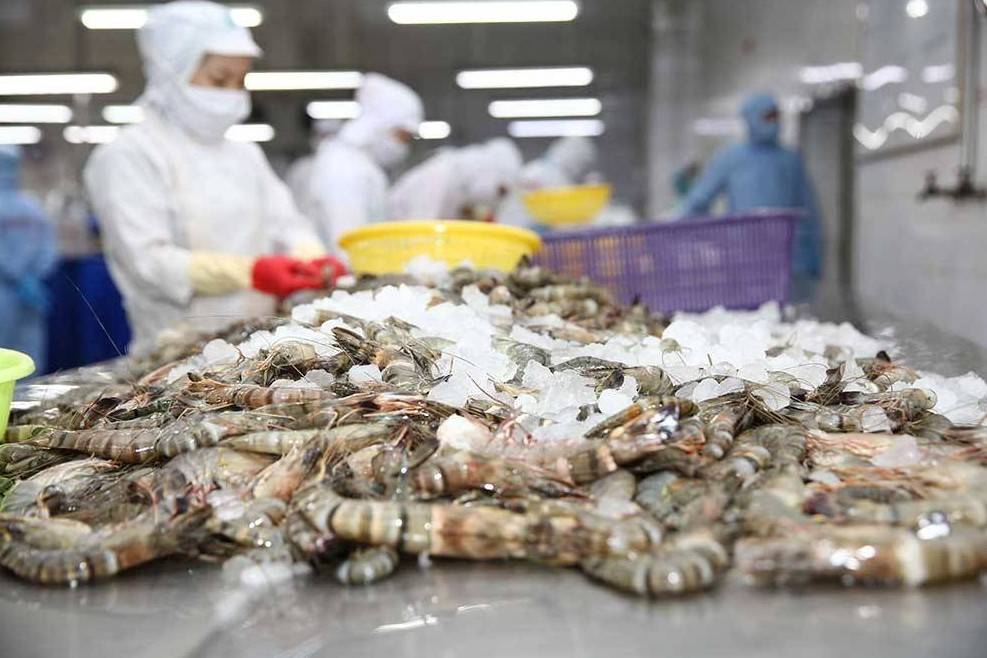Xuất khẩu thủy sản Việt Nam hướng tới 12 tỷ USD, Trung Quốc là thị trường lớn nhất