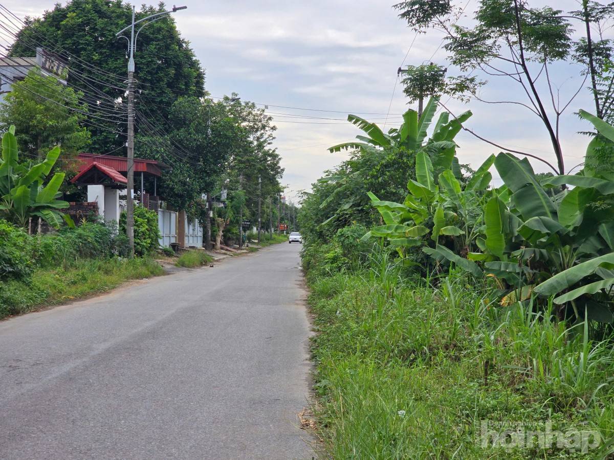 Phú Thọ đầu tư 120 tỷ đồng nâng cấp đường Ngô Quyền