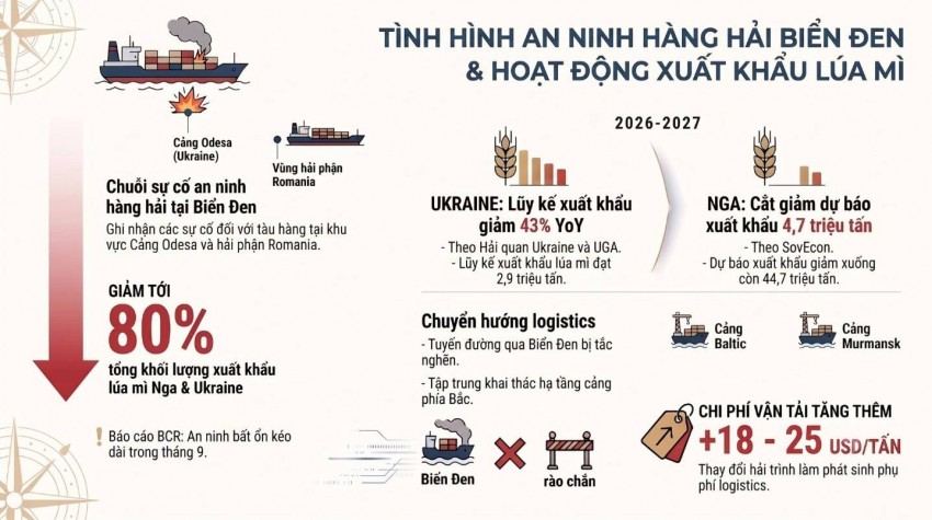 Rủi ro Biển Đen và sức mua quốc tế đẩy giá lúa mì đi lên