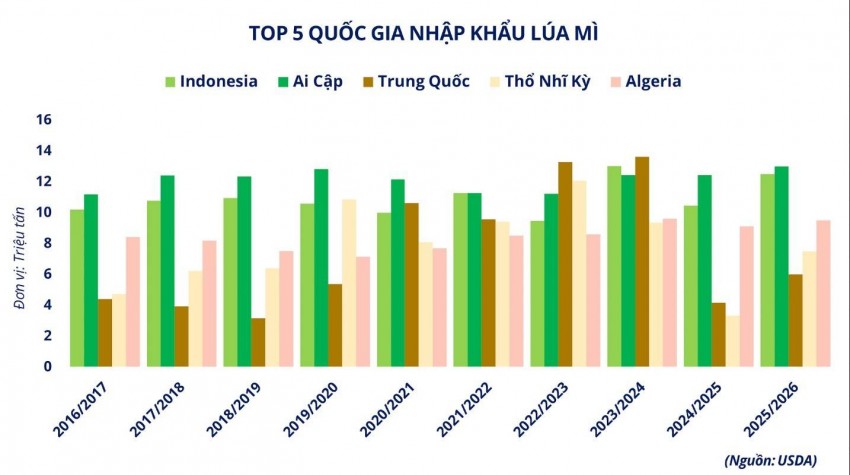 Rủi ro Biển Đen và sức mua quốc tế đẩy giá lúa mì đi lên