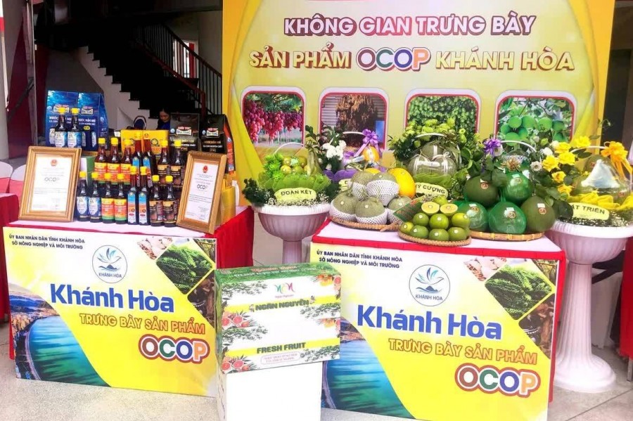 Khánh Hòa hỗ trợ đưa sản phẩm OCOP lên TikTok Shop, mở rộng thị trường số