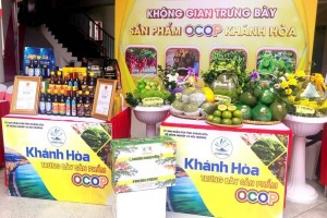 Khánh Hòa hỗ trợ đưa sản phẩm OCOP lên TikTok Shop, mở rộng thị trường số