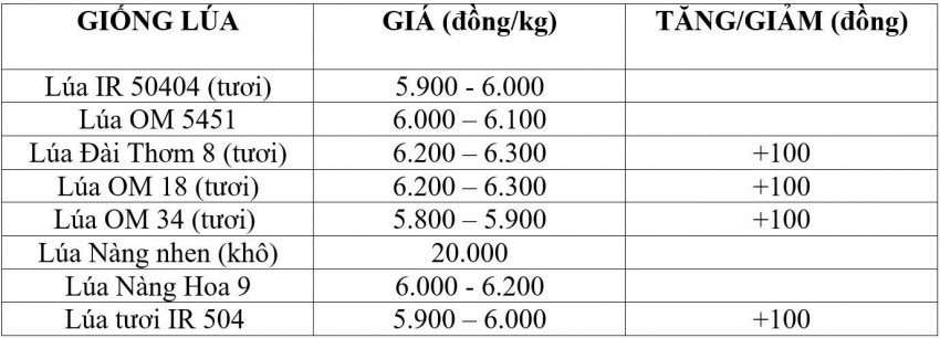 giá lúa gạo