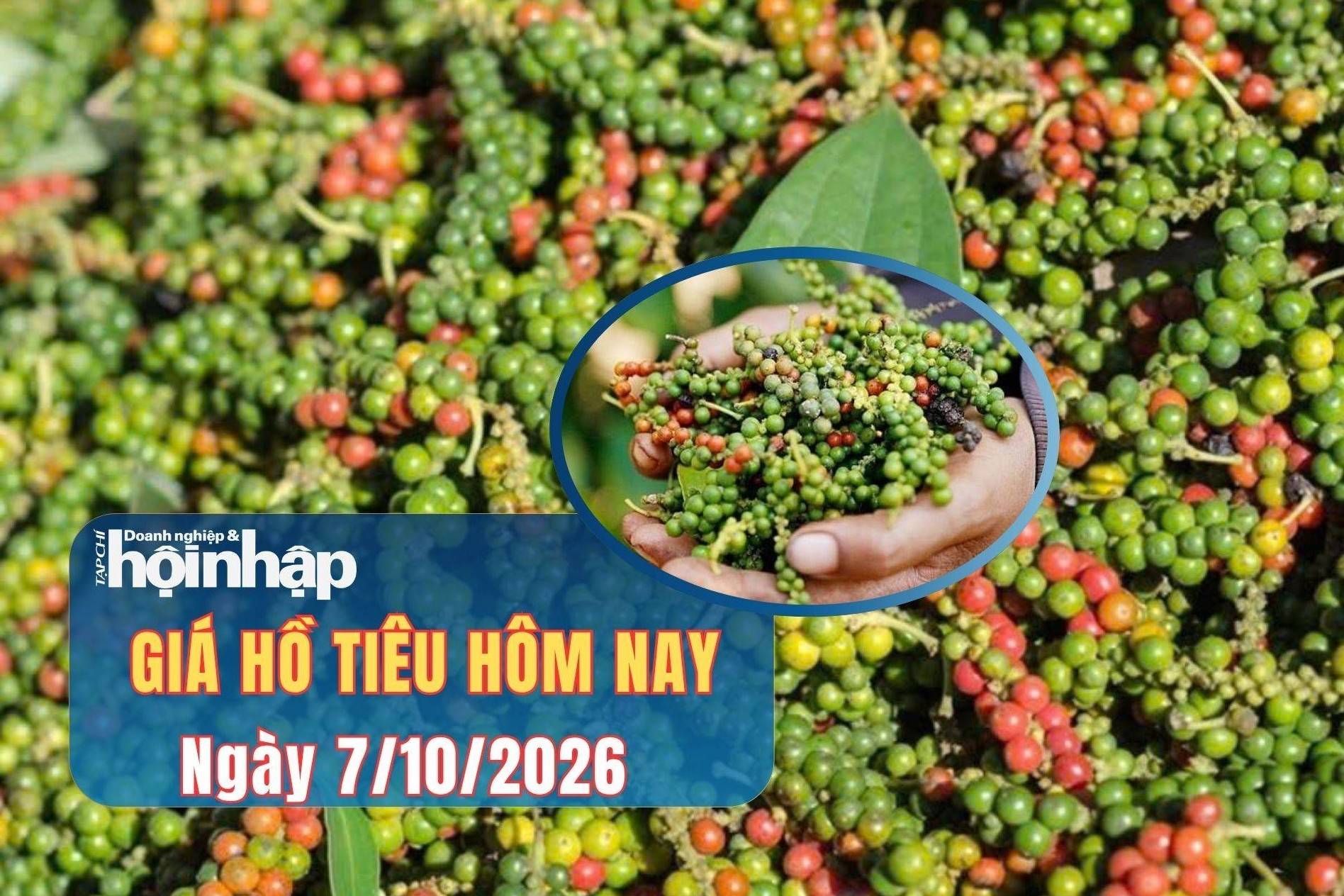 Giá tiêu hôm nay 7/10/2026: Trong nước và thế giới ở mức cao