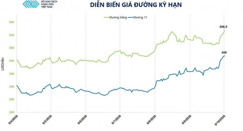Nguồn cung toàn cầu siết chặt, giá đường trong nước neo đỉnh