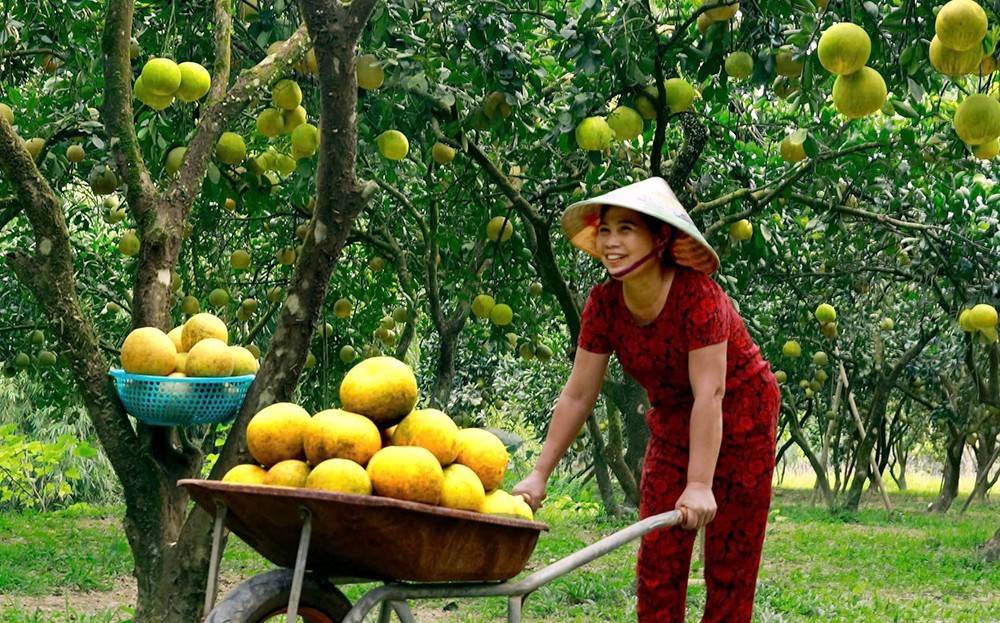 Du lịch Lào Cai chuyển hướng: Từ tăng lượng khách sang nâng giá trị mỗi hành trình
