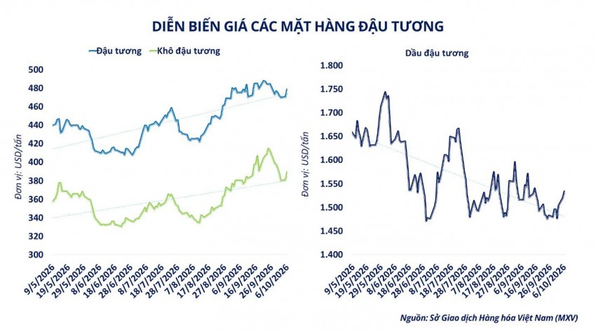 Mưa lớn tại Mỹ và sức mua Trung Quốc đẩy giá đậu tương bứt phá