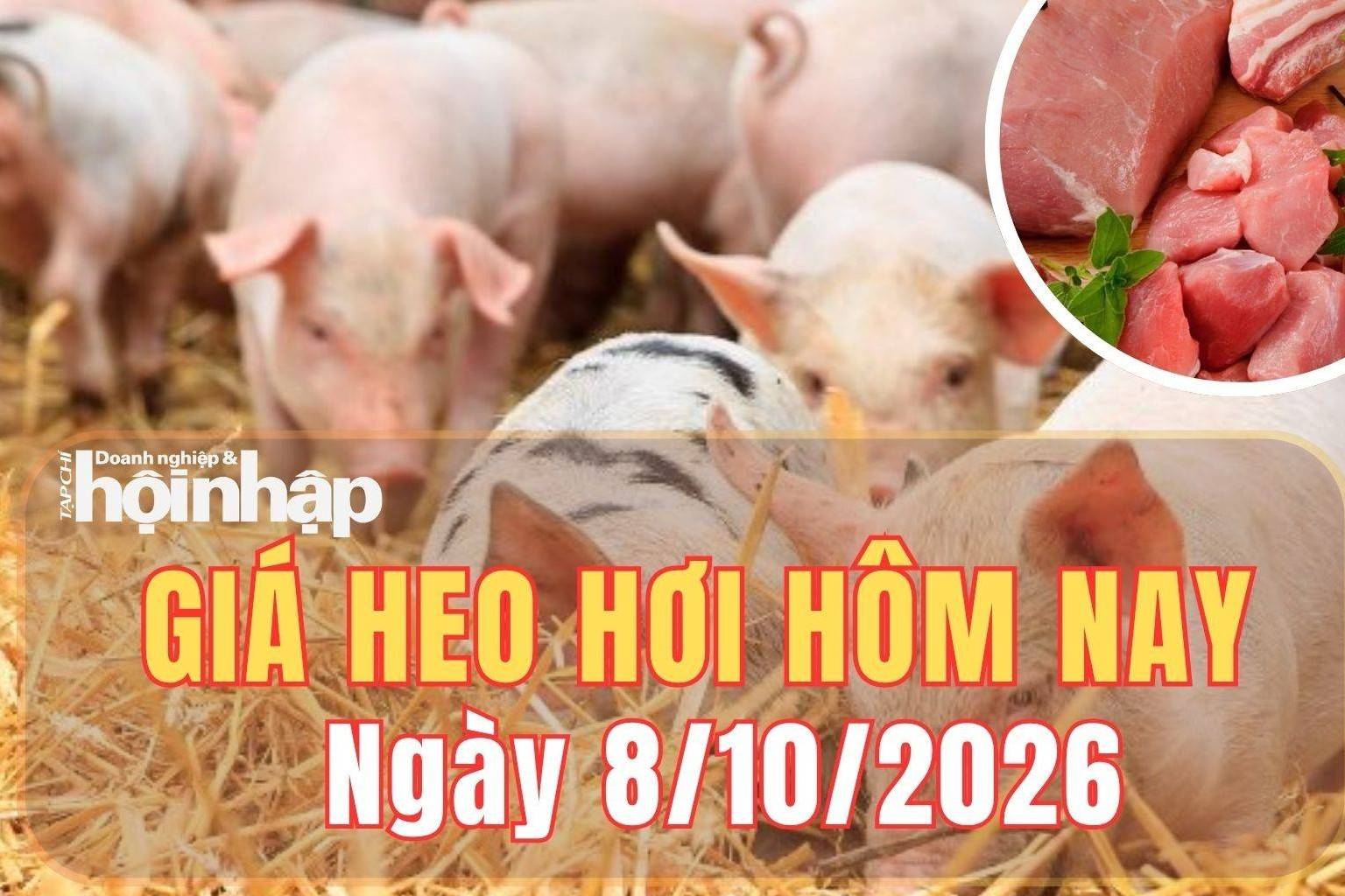 Giá heo hơi hôm nay 8/10 2026: Đà giảm lan rộng, giá thấp nhất 52.000 đồng/kg