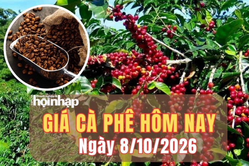 Giá cà phê hôm nay 8/10/2026: Giá cà phê thế trong nước tăng nhẹ, thế giới giảm mạnh - Tạp chí Doanh nghiệp và Hội nhập