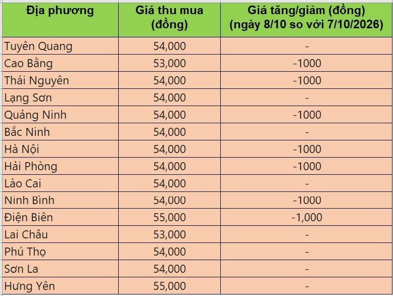 giá heo hơi