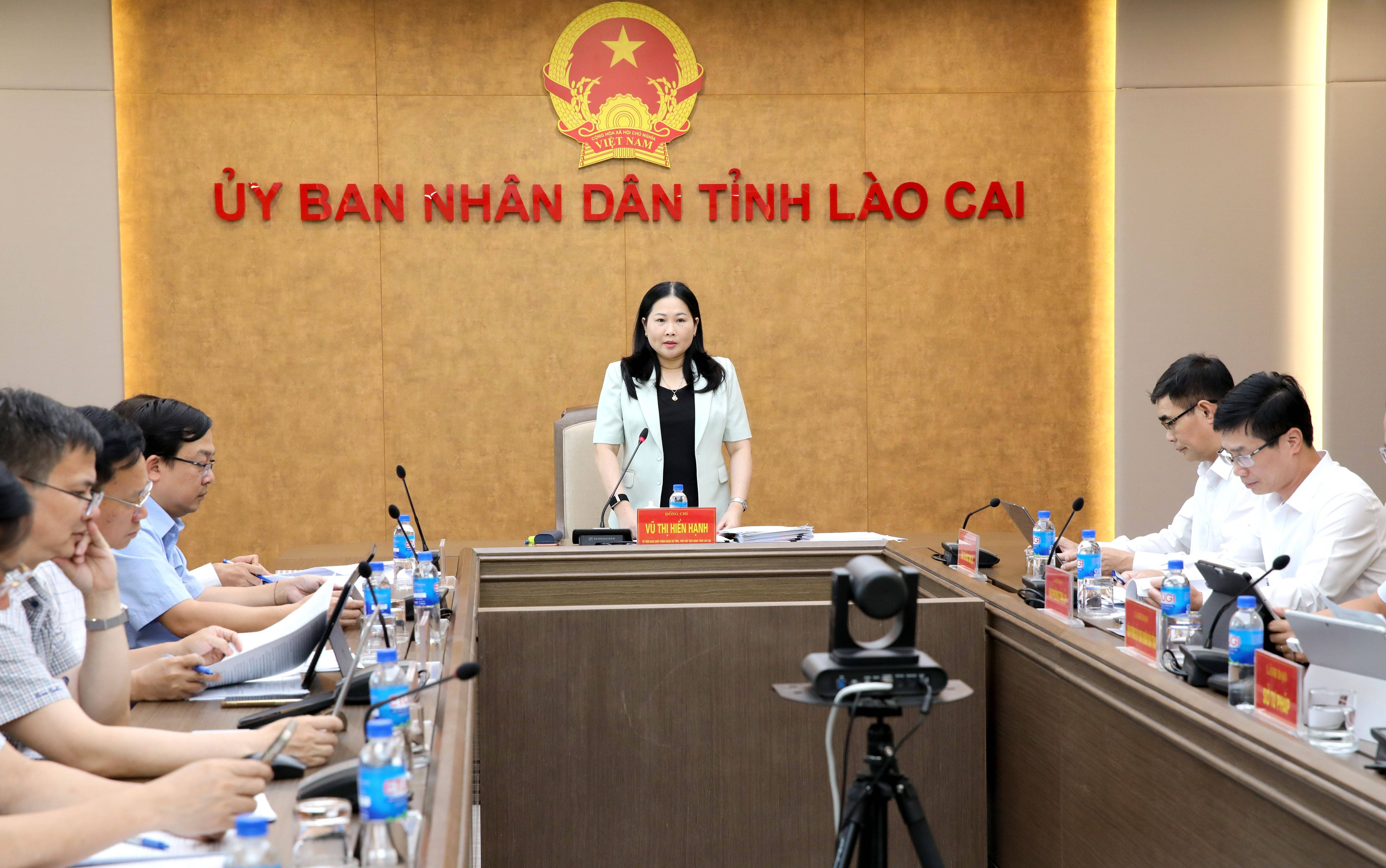 Phát biểu tại cuộc họp, Phó Chủ tịch UBND tỉnh Vũ Thị Hiền Hạnh
