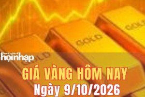 Giá vàng hôm nay 9/10/2026: Vàng SJC đi ngang, vàng nhẫn giảm mạnh