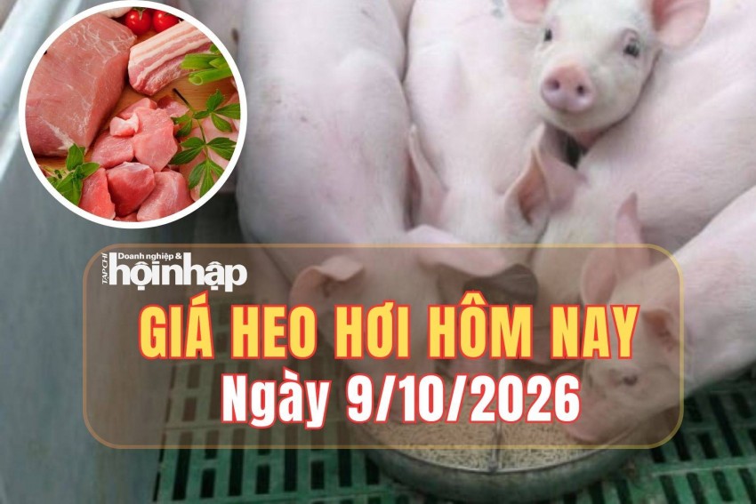 giá heo hơi