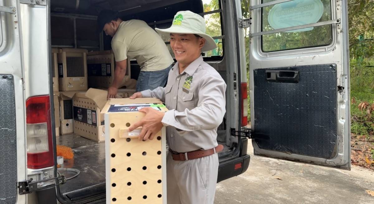 Từ hơn 4.000 cá thể đến mạng lưới bảo tồn quốc tế: Vinpearl Safari đã đi xa đến đâu sau hơn một thập kỷ?