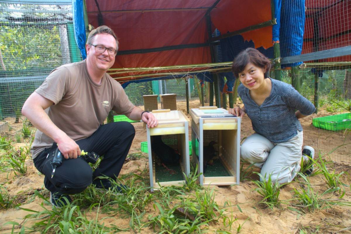 Từ hơn 4.000 cá thể đến mạng lưới bảo tồn quốc tế: Vinpearl Safari đã đi xa đến đâu sau hơn một thập kỷ?