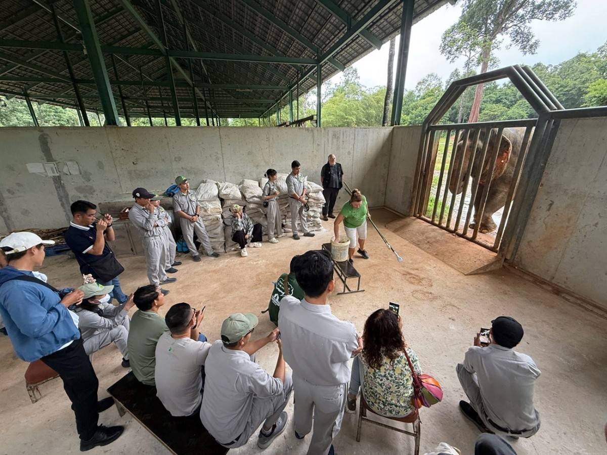 Từ hơn 4.000 cá thể đến mạng lưới bảo tồn quốc tế: Vinpearl Safari đã đi xa đến đâu sau hơn một thập kỷ?