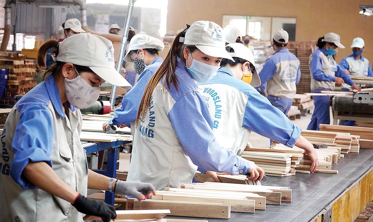 Thị trường lao động 2026: Doanh nghiệp tăng tuyển dụng, nhân lực chất lượng cao lên ngôi
