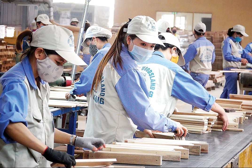 Thị trường lao động 2026: Doanh nghiệp tăng tuyển dụng, nhân lực chất lượng cao lên ngôi