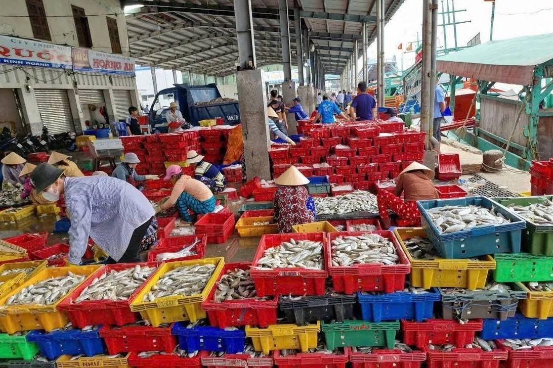 TP. Hồ Chí Minh công bố 6 bến cá tạm thời, siết kiểm soát khai thác IUU