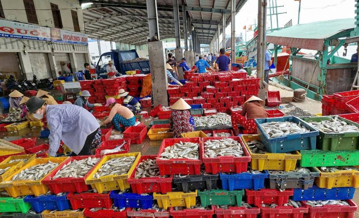 TP. Hồ Chí Minh công bố 6 bến cá tạm thời, siết kiểm soát khai thác IUU