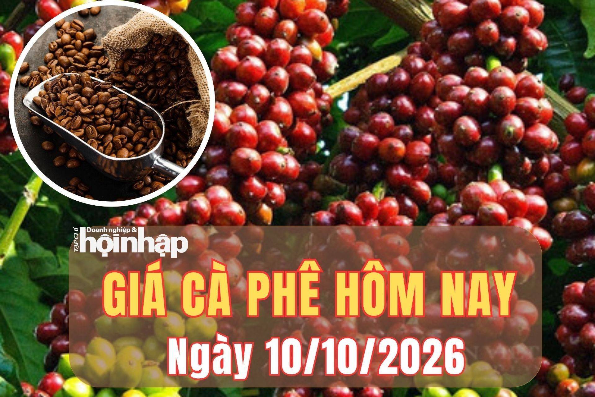 Giá cà phê hôm nay 10/10/2026: Trong nước tiếp đà giảm, robusta phục hồi giữa áp lực cung cầu