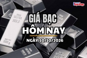 Giá bạc hôm nay 10/10/2026: Giá bạc đồng loạt tăng