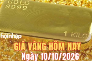 Giá vàng hôm nay 10/10/2026: Giá vàng tăng mạnh