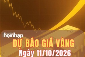 Dự báo giá vàng ngày mai 11/10/2026: Vàng SJC chịu sức ép giảm?