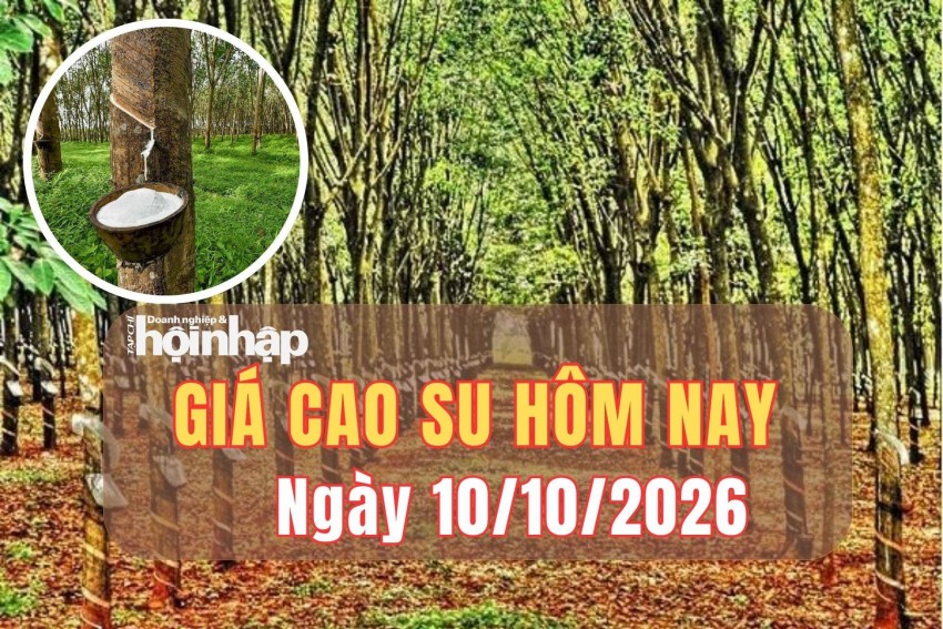 giá cao su