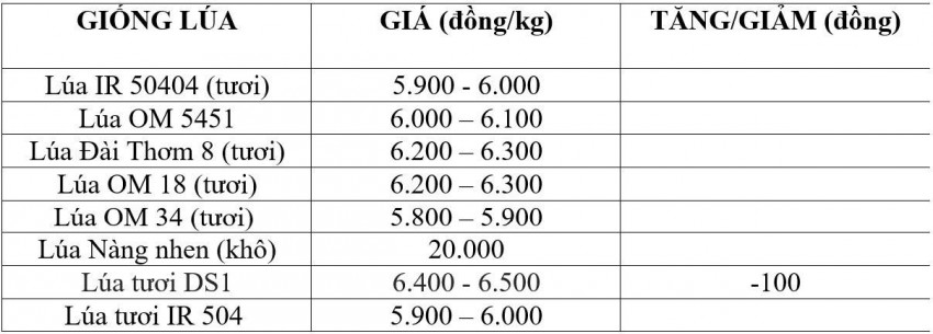 giá lúa gạo