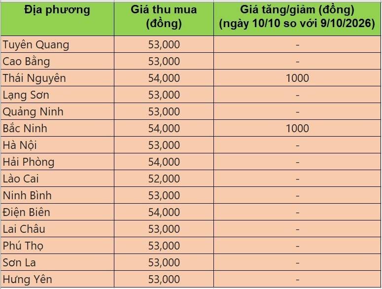 giá heo hơi