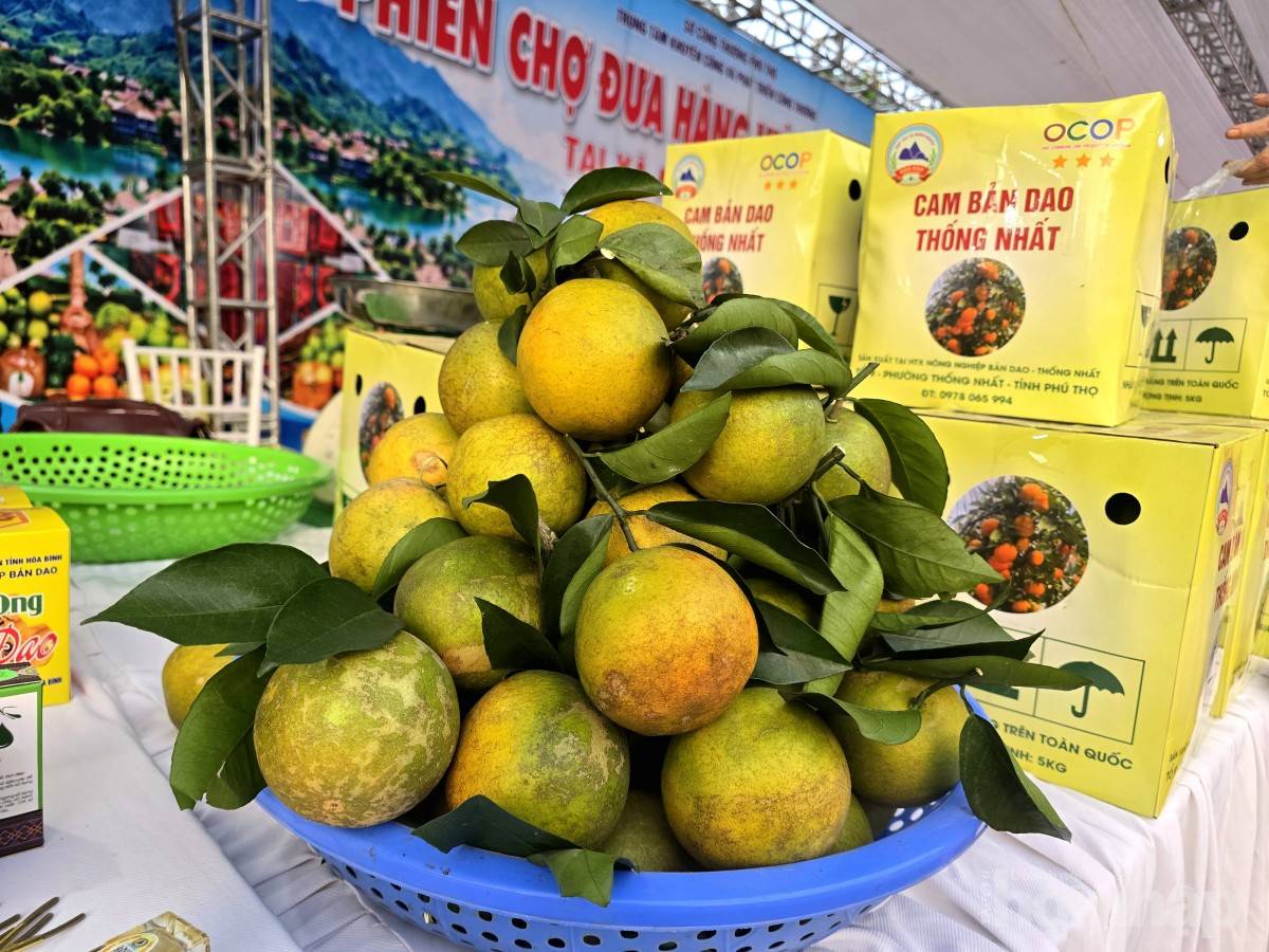 Phú Thọ mở rộng đầu ra OCOP từ lợi thế du lịch