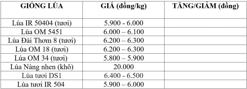giá lúa gạo
