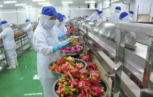 Doanh nhân nông nghiệp nhiệt đới gỡ nút thắt vốn và thị trường