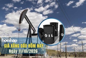 Giá xăng dầu hôm nay 11/10/2026: Dầu Brent vượt 104 USD/thùng, thị trường tiếp tục tăng