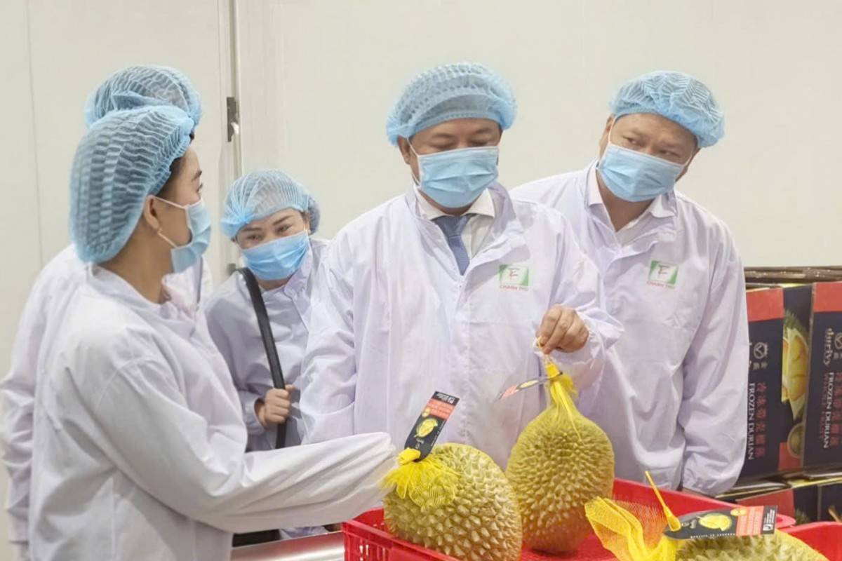 Ủy viên Trung ương Đảng, Bí thư Tỉnh ủy, Trưởng Đoàn ĐBQH tỉnh Đắk Lắk Lương Nguyễn Minh Triết (giữa ảnh) thăm cơ sở sản xuất của Công ty Cổ phần Tập đoàn Xuất - Nhập khẩu Trái cây Chánh Thu.