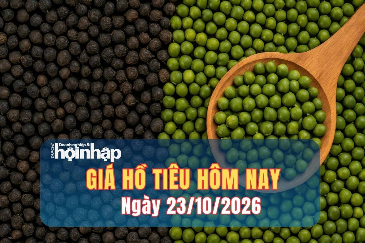 Giá tiêu hôm nay 22/10/2026: Thị trường giằng co và triển vọng cuối năm