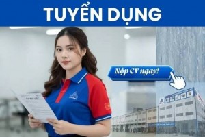 Từ trợ cấp thất nghiệp đến tái việc làm: Việt Nam có thể học gì từ các nước?
