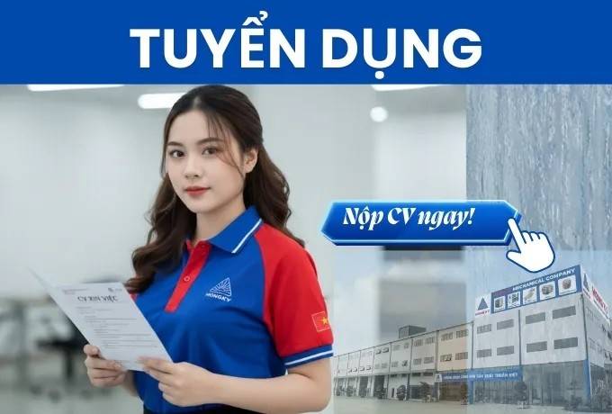 Từ trợ cấp thất nghiệp đến tái việc làm: Việt Nam có thể học gì từ các nước?