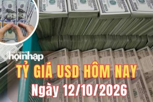 Tỷ giá USD hôm nay 12/10 /2026: Đồng USD chờ cú hích từ lạm phát Mỹ