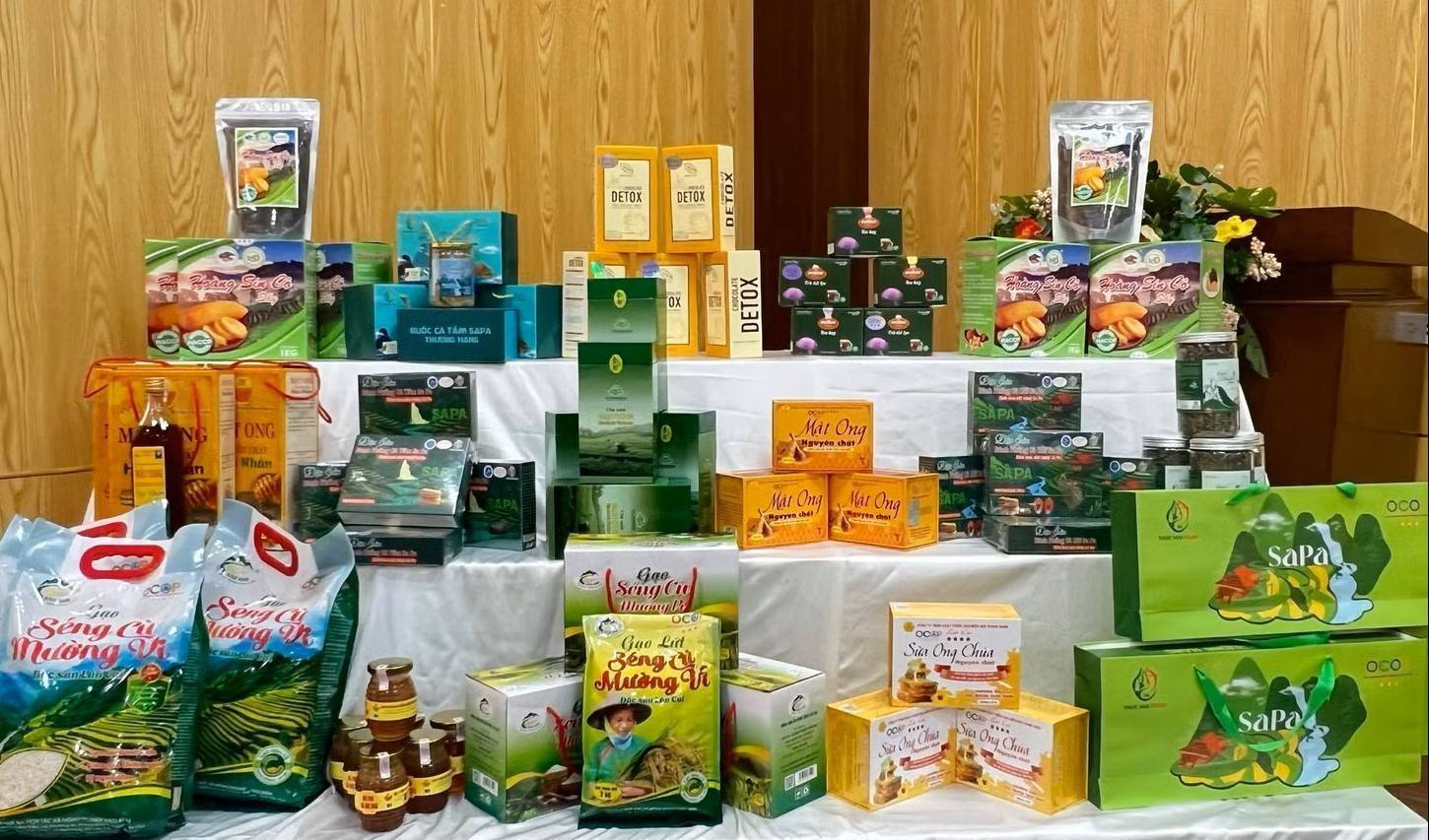 Từ đặc sản vùng cao đến thương hiệu hàng hóa: Lào Cai tìm đường cho OCOP vươn xa