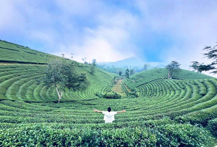 Phú Thọ kết nối Sơn Lương – Long Cốc, thúc đẩy du lịch xanh