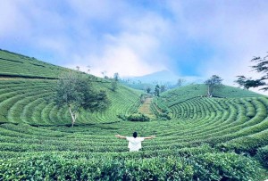 Phú Thọ kết nối Sơn Lương – Long Cốc, thúc đẩy du lịch xanh