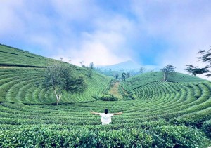 Phú Thọ kết nối Sơn Lương – Long Cốc, thúc đẩy du lịch xanh
