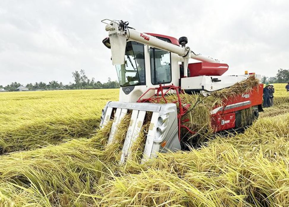 Xây dựng công trình trên đất trồng lúa Tây Ninh gắn với yêu cầu phục vụ sản xuất nông nghiệp