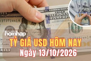 Tỷ giá USD hôm nay 13/10 /2026: Đồng USD thế giới áp sát đỉnh 18 tháng
