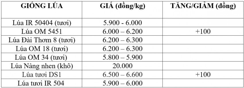Bảng giá lúa hôm nay 13/10/2026