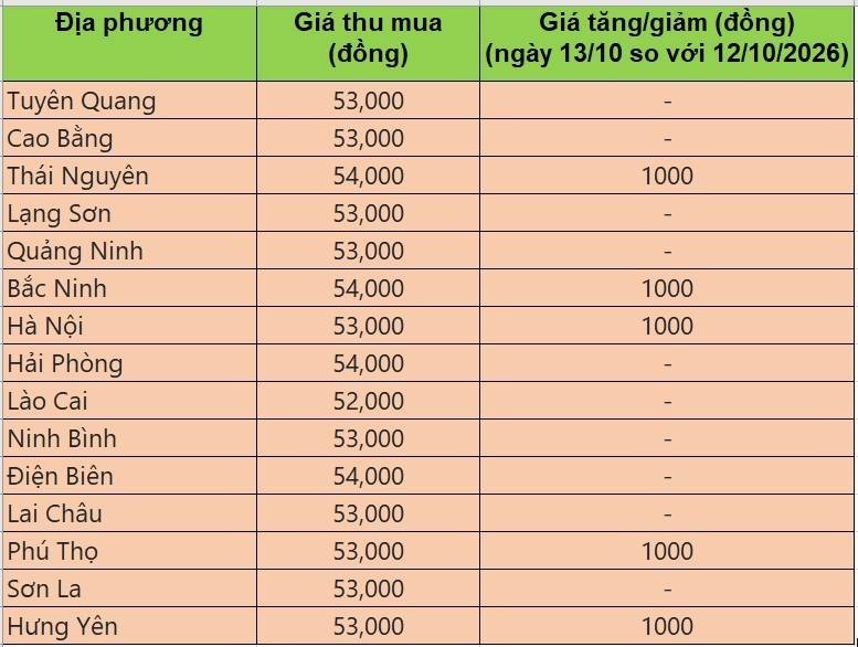 Bảng giá heo hơi tại miền Bắc hôm nay 12/10/2026